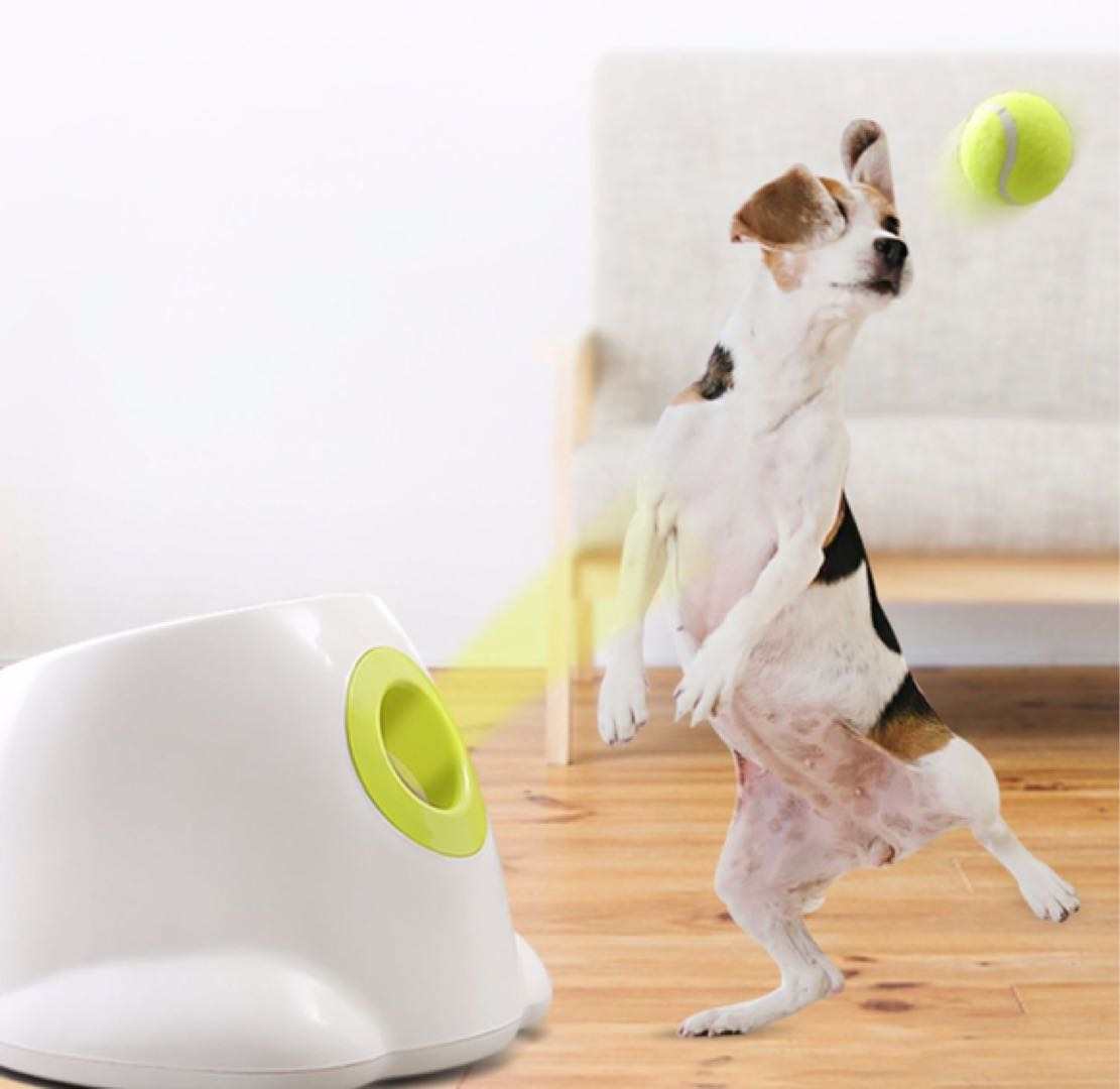 Dog Ball Launcher (Small Breeds)