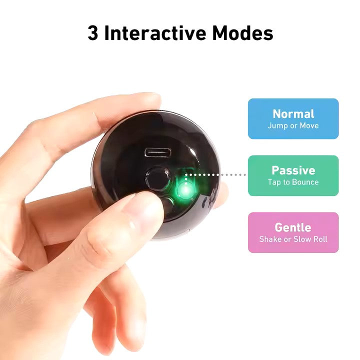 Smart Dog Ball - Interactive - Orange