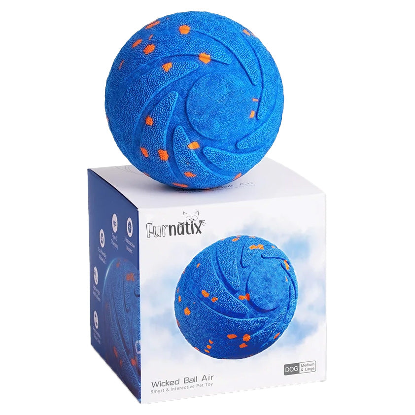Smart Dog Ball - Interactive - Blue
